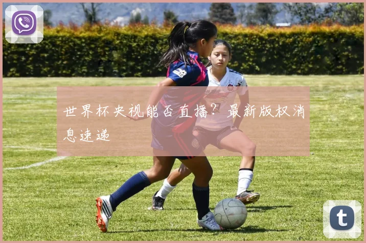 世界杯央视能否直播？最新版权消息速递