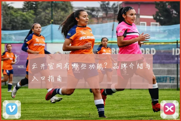 云开官网有哪些功能？品牌介绍与入口指南