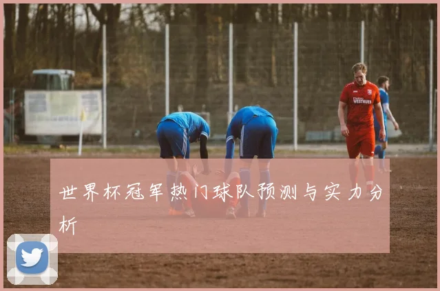 世界杯冠军热门球队预测与实力分析